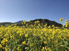 -扁都口生态休闲旅游区