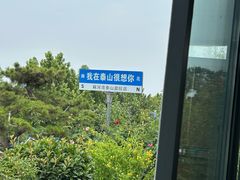 -蘇河湾·新鲁菜·泰山宴(泰山店)