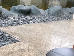 -上海外滩茂悦大酒店