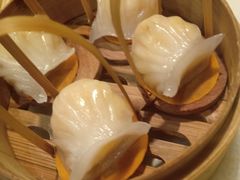 -金鼎轩(方庄天坛店)