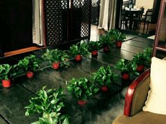 -梧桐餐厅(泉城路店)