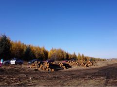 iphone_upload_pic-塞罕坝国家级自然保护区