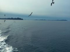 -大长山岛