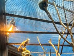 -泉城欧乐堡海洋极地世界