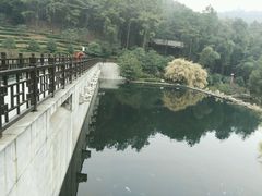 九龙潭-旺山景区