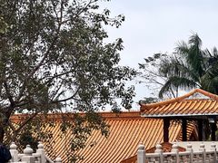 -深圳市中科院仙湖植物园