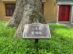 -普陀山风景名胜区-法雨禅寺