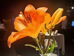 -Grand James·地中海bistro(百家湖1912店)