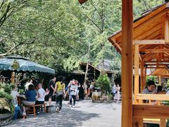 -青城甲(青城山店)