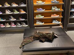 -凯德MALL(望京店)