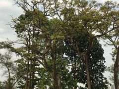 -广西壮族自治区药用植物园