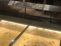 -泸州老窖景区