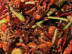 -京悦南门涮羊肉·羊蝎子火锅(田林路店)