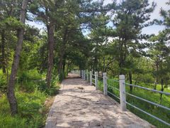 -崂山仰口游览区