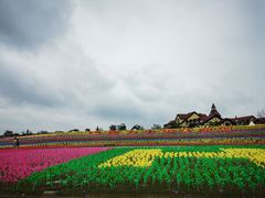 -歌斐颂巧克力小镇