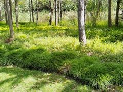 -昆山城市生态森林公园