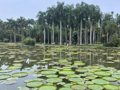 -中国科学院西双版纳热带植物园