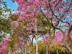 -万科前海企业公馆