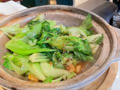 -新雅粤菜馆(南京东路店)