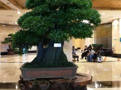 -华雅花园大酒店