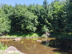 -五营红松林海景区