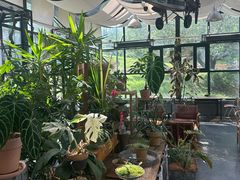 -北马山庄植趣咖啡