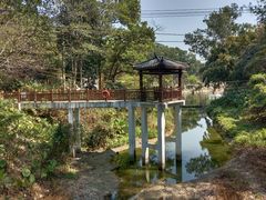 -火炉山森林公园