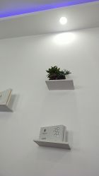 -百世玉芳专业祛痘