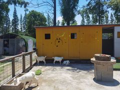 -前小桔亲子创意农场·草莓采摘·露营烧烤