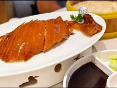 -普天和酒楼·新津菜·烤鸭(天津之眼店)