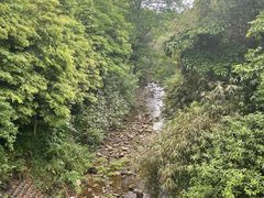 -凤栖山