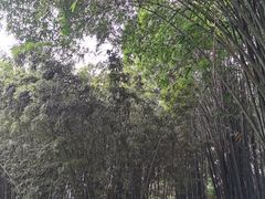 -金沙遗址博物馆