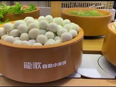 -龍歌自助小火锅(崂山丽达店)