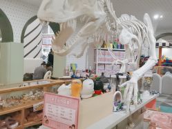 -宝燕乐园(春申店)