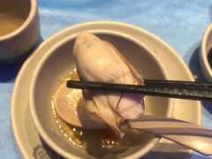 深海黄金蚝-千岛蚝高压锅生蚝·人参火锅(白云万达店)