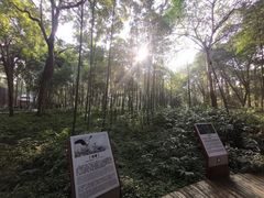 -中国天府农业博览园