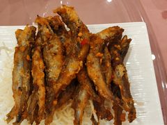-宝华海景大酒店·望绿苑