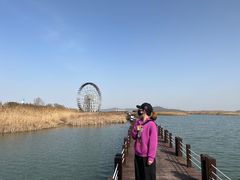 -太湖湖滨国家湿地公园-停车场