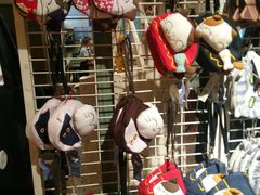 -猫咪博物馆(顶澳仔猫街店)