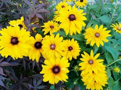 -安庆师范大学(龙山校区)