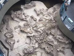 -自贡恐龙博物馆