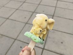 -秦皇岛野生动物园