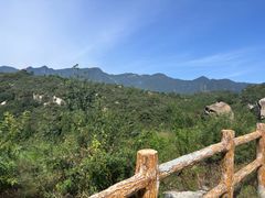 -白水寺森林公园