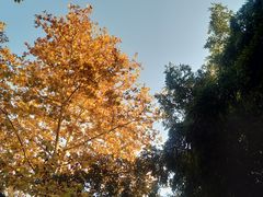 -春晖园度假酒店温泉