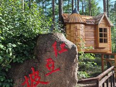 -莫尔道嘎国家森林公园