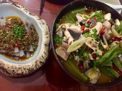 杨记招牌鱼-杨记隆府(白象街店)
