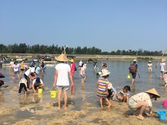 -北海金海湾红树林生态旅游区