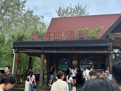 -合肥滨湖国家森林公园