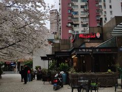-玛格萝妮比萨屋(四平店)