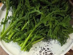 -蜀九香火锅(玉林店)